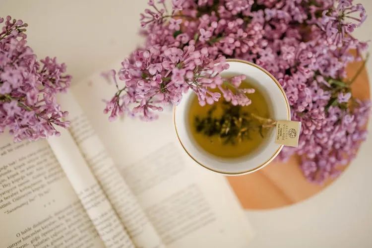 牛顿第二定律生活应用_牛顿定律在我们生活中的应用_牛顿定律应用举例