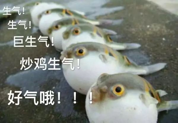 新闻美女_新闻美女游戏直播_游戏新闻 美女