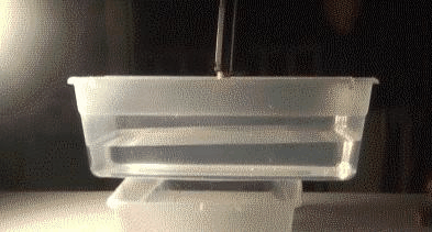 波士顿糖蜜洪灾 非牛顿流体 剪切变稀_非牛顿流体生活应用