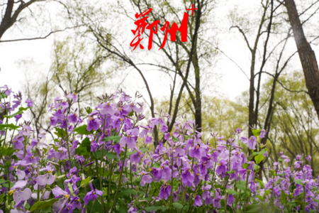 pg下载赏金下载 郑州晚报app5.1.2最新版