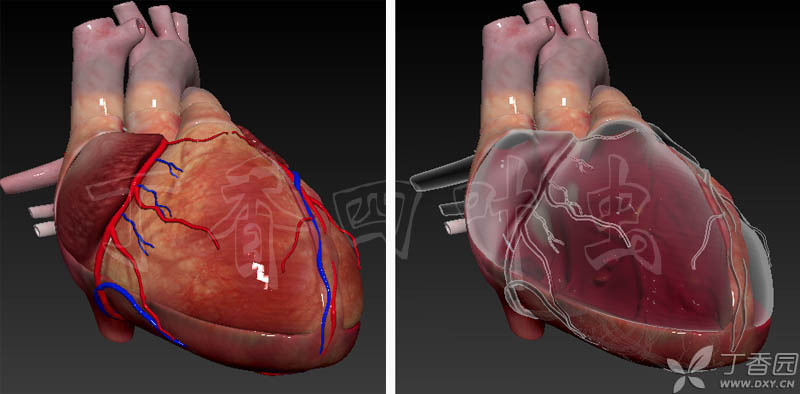 虫哥原创作品_虫哥个人资料_虫哥说图系列5