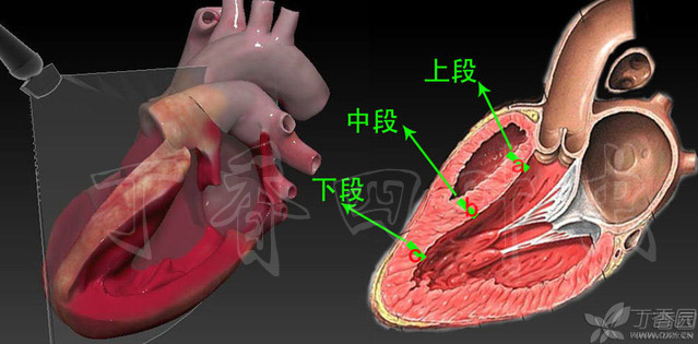 虫哥说图系列5_虫哥b站_虫哥现身
