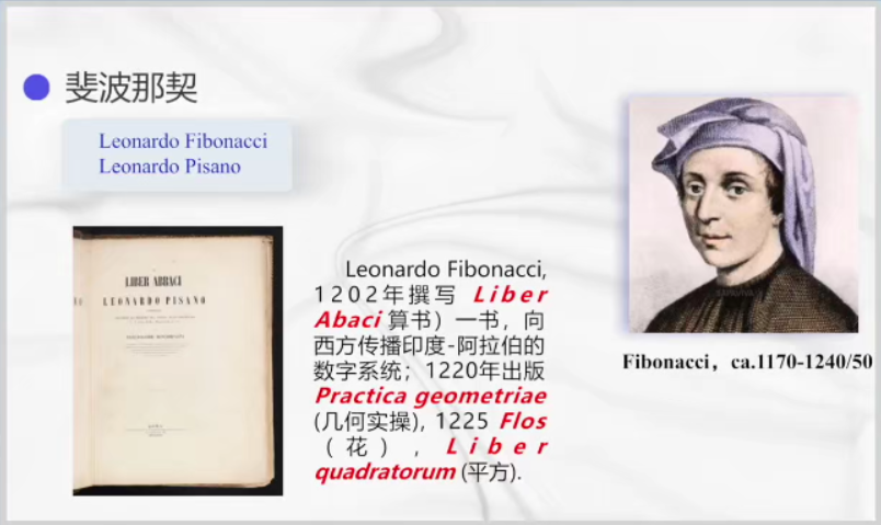 大自然的隐秘技能：神奇的Fibonacci数列