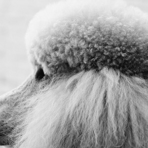 客户往来明细对账单模板_律师解答对账单效力_客户往来对账单表格