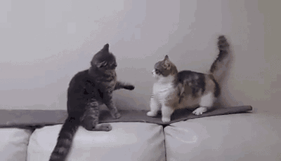 情人节礼物挑选原则_pp空间情人节_暗恋期情人节礼物推荐