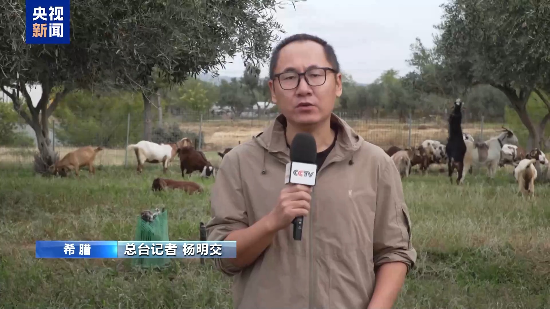 人感染羊痘病毒的治疗_希腊羊痘扑杀数量_希腊羊痘疫情数据