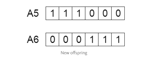 遗传算法Java实现_遗传算法原理详解_遗传算法应用生活实例