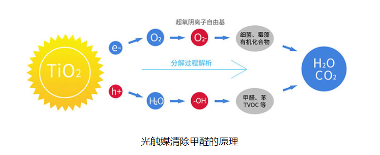 纳米技术会有怎样的应用?