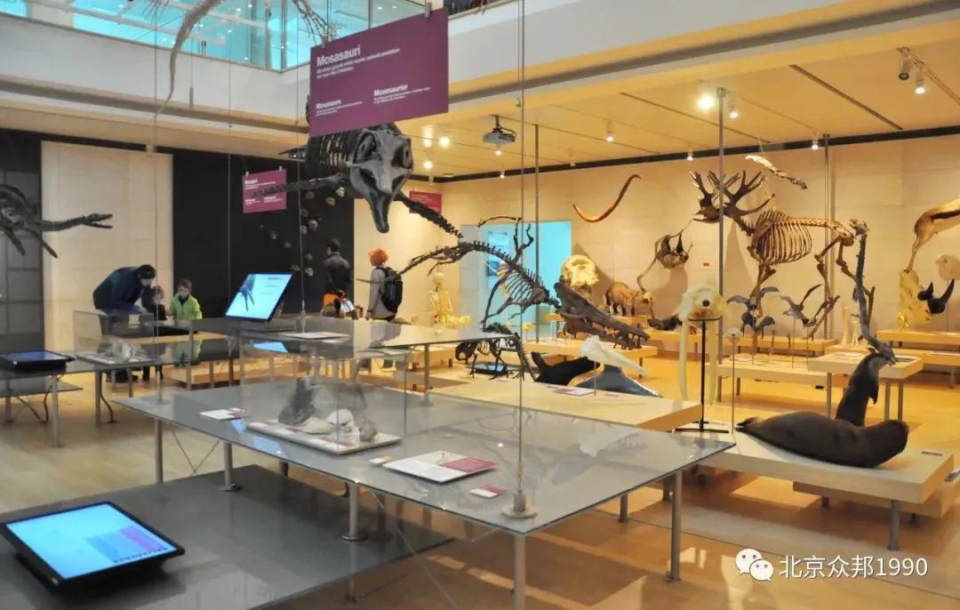 锥体上滚的实际应用_椎体上滚生活应用_锥体上滚的实验现象