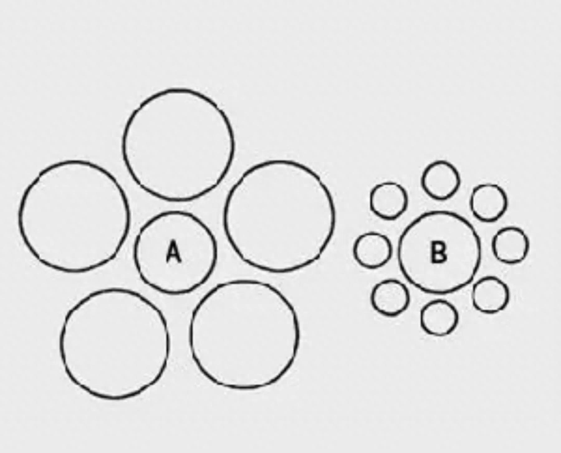 马老师的心理话之知觉的基本特性