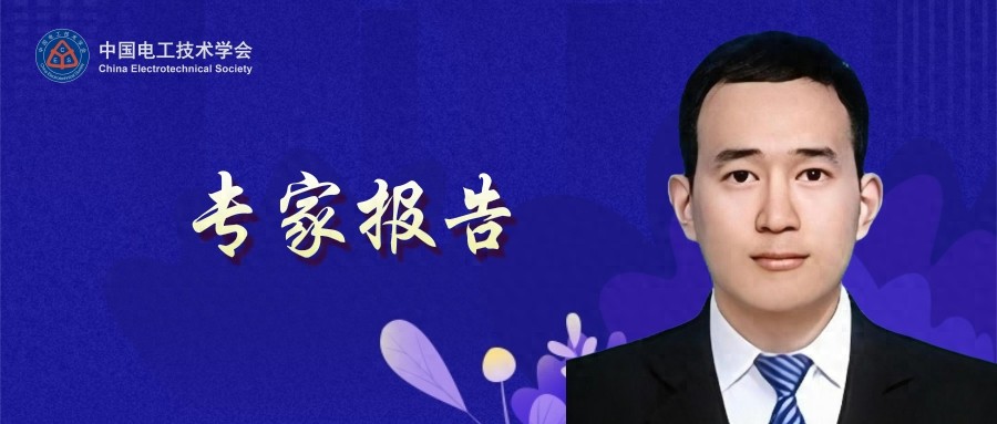 专家报告：无线电能传输系统多股利兹线损耗分析及其分束补偿方法