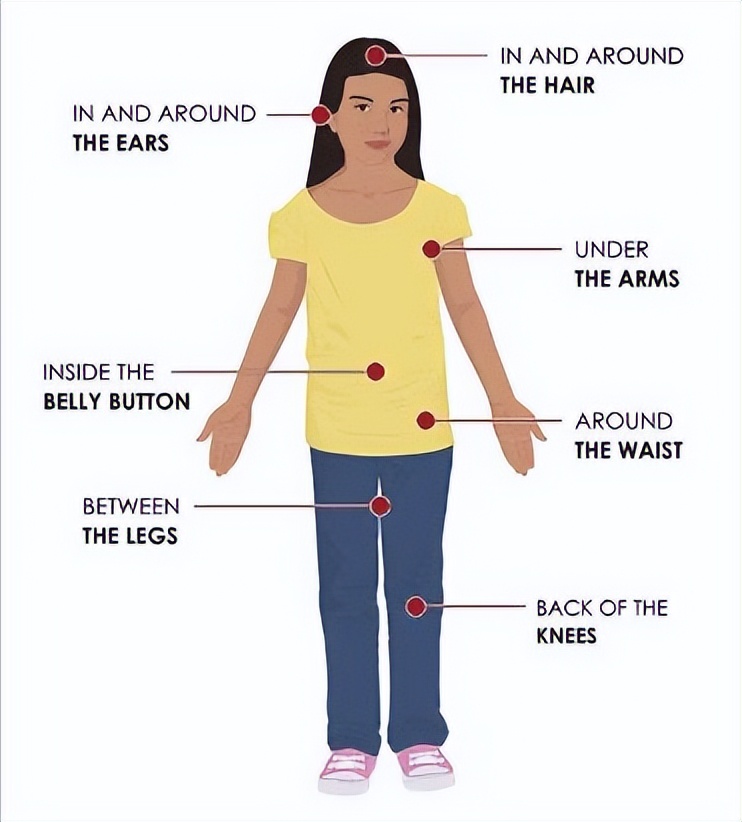 脾虫咬后的伤口图_蜱虫的危害与预防_蜱虫叮咬处理方法