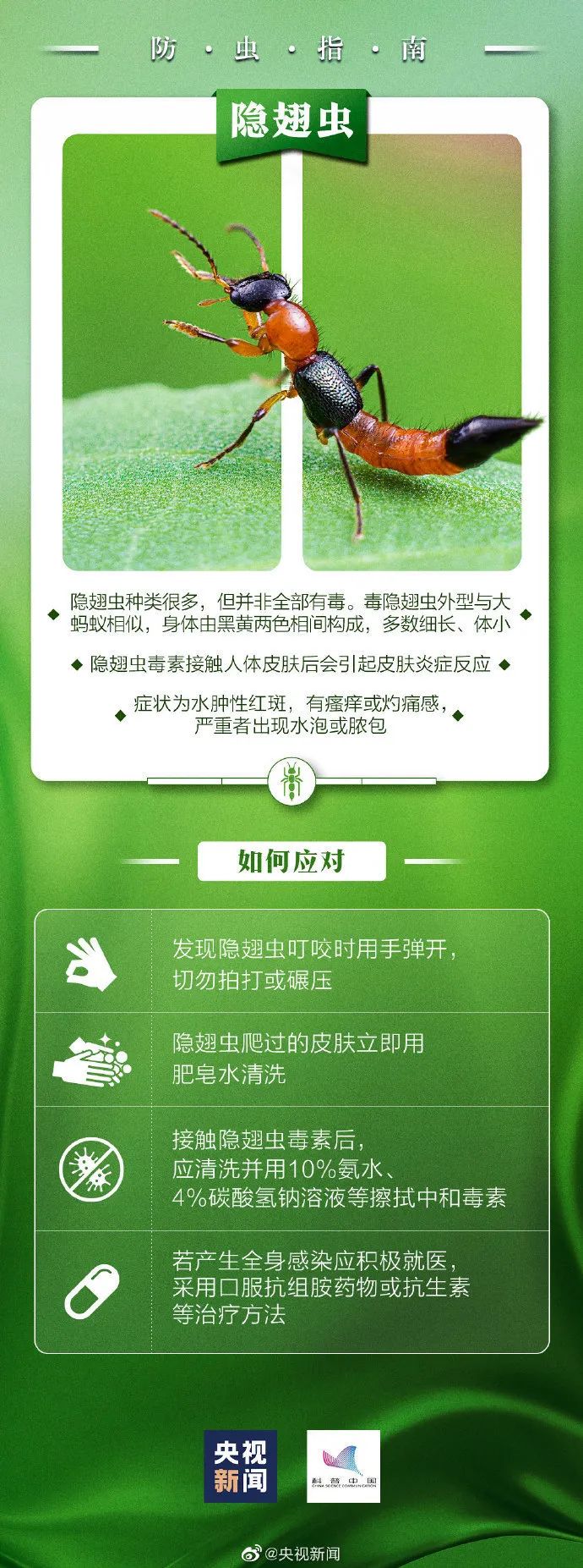 蜱虫咬人案例_蜱虫叮咬症状_脾虫咬后的伤口图