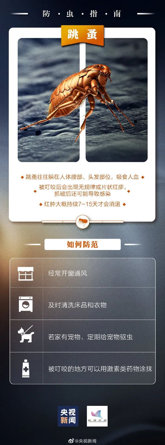 蜱虫咬人案例_蜱虫叮咬症状_脾虫咬后的伤口图