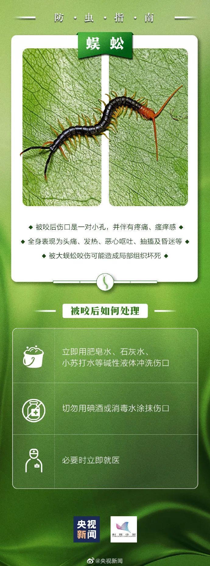 蜱虫叮咬症状_脾虫咬后的伤口图_蜱虫咬人案例