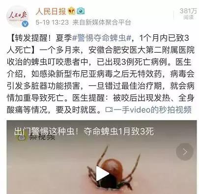 脾虫咬后的伤口图_蜱虫叮咬急救方法_夏季蜱虫叮咬症状