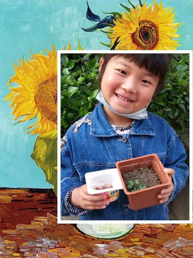 豆宝宝的旅行教案ppt_豆宝宝旅行记绘本视频_豆宝宝的旅行