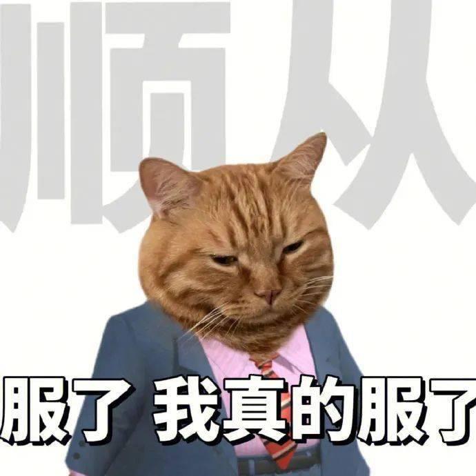 ios美拍live_苹果动态照片原理_安卓动态照片格式差异