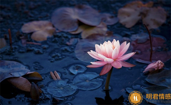 老死不相往来分手彻底方法_彻底分手切断希望条件_分手了就老死不相往来