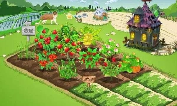 人人网开心网网际快车千千静听衰落原因分析_互联网老产品兴衰史_想开心网