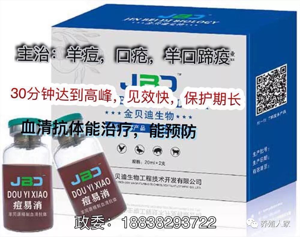 治疗羊痘病的特效药_羊痘病的治疗_治疗羊痘的药