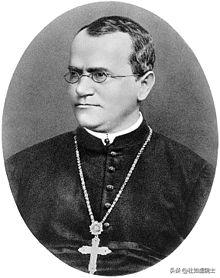 遗传算法应用生活实例__ 达尔文物种起源进化论 