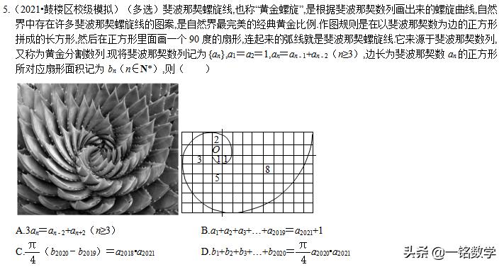 莱昂纳多·斐波那契 斐波那契数列定义者 斐波那契数列在自然界中的应用_斐波那契数列生活应用