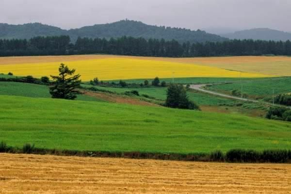 pg下载 网络游戏知识大全：为何网络游戏行业迅速崛起？