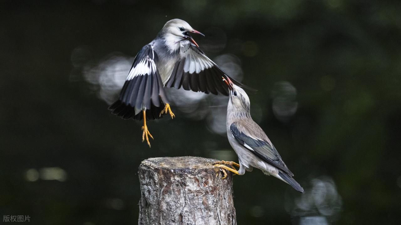 人脉的本质价值交换_穷人富人圈子差异_人脉圈层