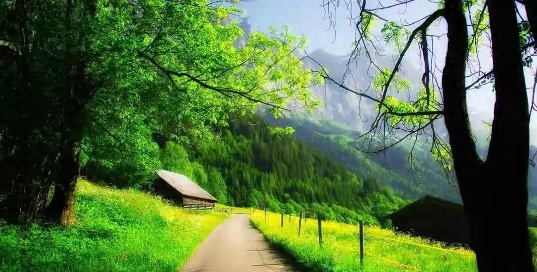 中年人社交困境_人脉圈层_中年人情感孤独