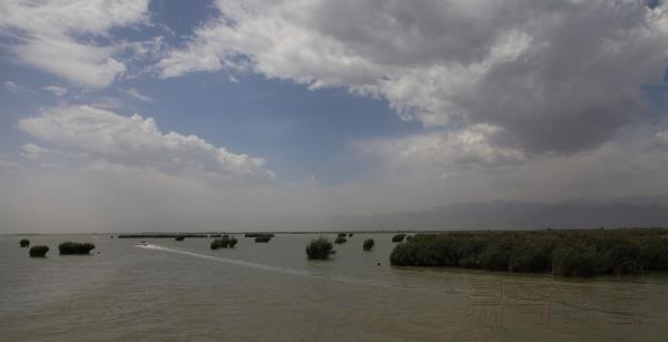 最不喜欢交朋友的四大生肖_相距很近却少来往是什么生肖_生肖兔不喜欢交朋友的原因