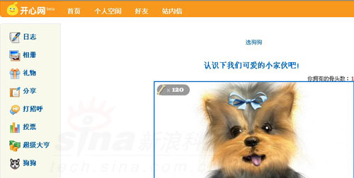 科技时代_千橡启用域名Kaixin.COM:开心网被全面克隆