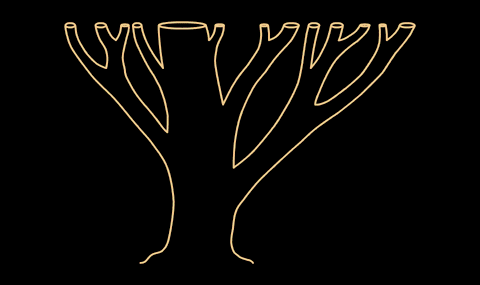 斐波那契数列生活应用_自然之美斐波那契数列_斐波那契数列兔子繁殖问题