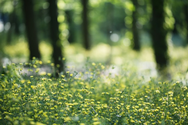 孩子磨蹭怎么办_蔡格尼克效应如何帮助孩子_蔡格尼克效应生活应用