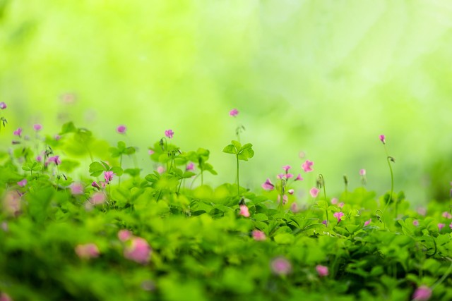 孩子磨蹭怎么办_蔡格尼克效应生活应用_蔡格尼克效应如何帮助孩子