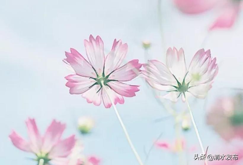 pg下载官方版打开即玩v1022.速装上线体验.中国 9个逆向思维小故事，幽默精辟！