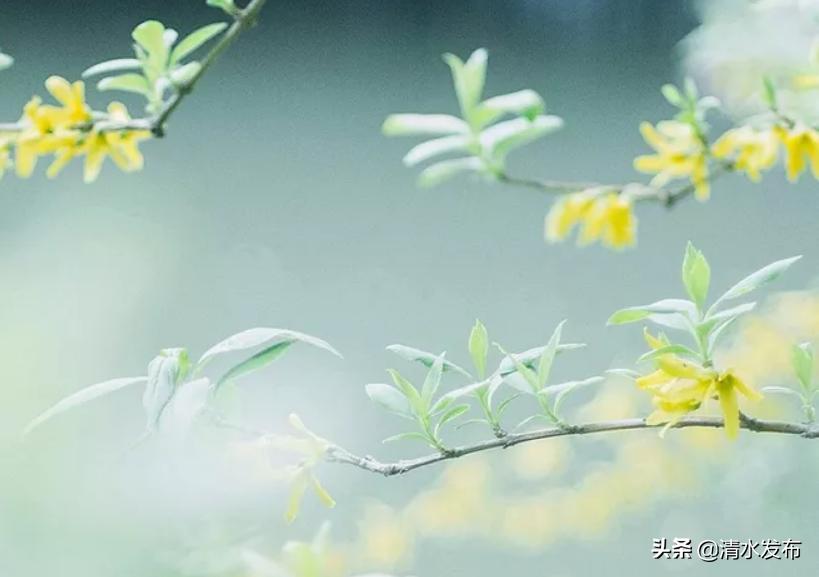 换个角度看问题_逆向思维解决问题_生活逆向思维应用故事