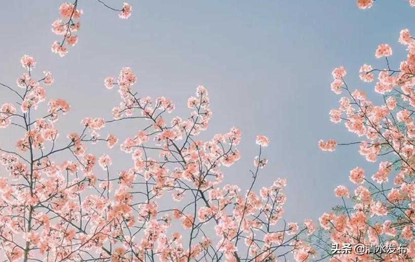 逆向思维解决问题_换个角度看问题_生活逆向思维应用故事