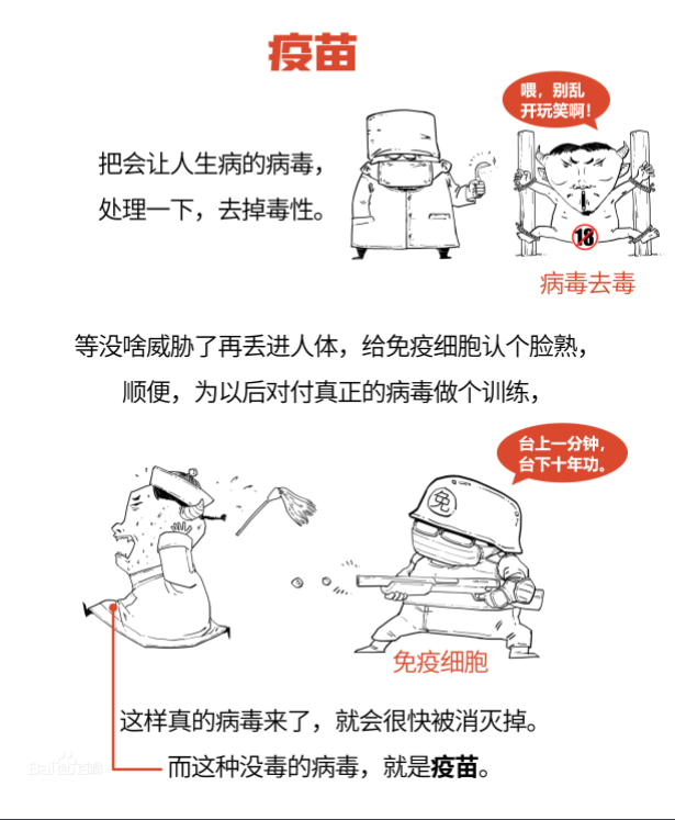 科维福新型冠状病毒灭活疫苗_灭活疫苗原理_水痘病毒怎样灭活