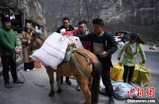 新闻美女游戏视频_新闻美女游戏直播_游戏新闻 美女