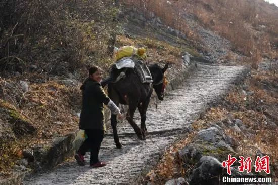 新闻美女游戏直播_游戏新闻 美女_新闻美女游戏视频