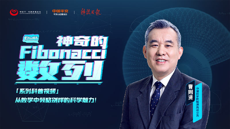 黄金分割数与斐波那契数列_斐波那契数列应用_斐波那契数列生活应用