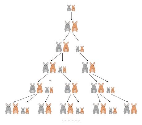 黄金分割数与斐波那契数列_斐波那契数列生活应用_斐波那契数列应用