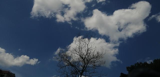 深夜写作_夜晚独处_来来往往不见人是什么意思