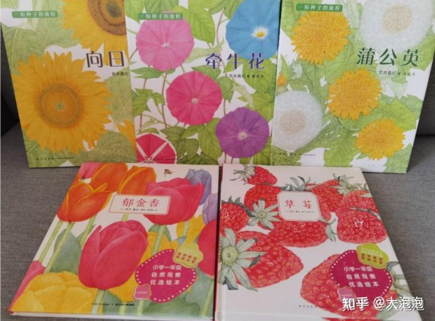 幼儿园游戏专题总结_幼儿园家长进课堂 绘本教学活动设计 家长课堂互动技巧