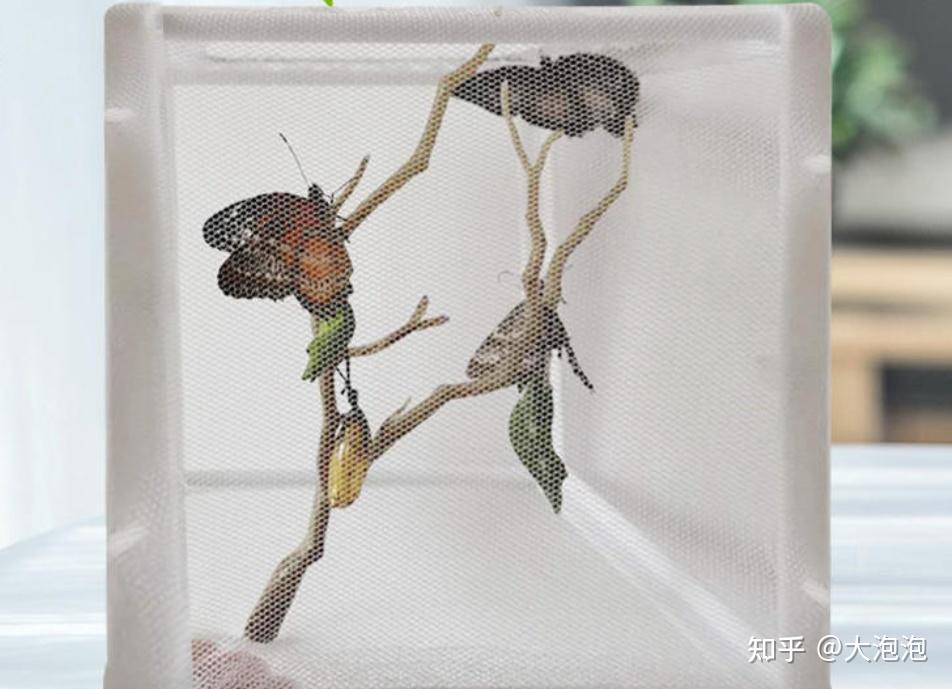 幼儿园游戏专题总结_幼儿园家长进课堂 绘本教学活动设计 家长课堂互动技巧