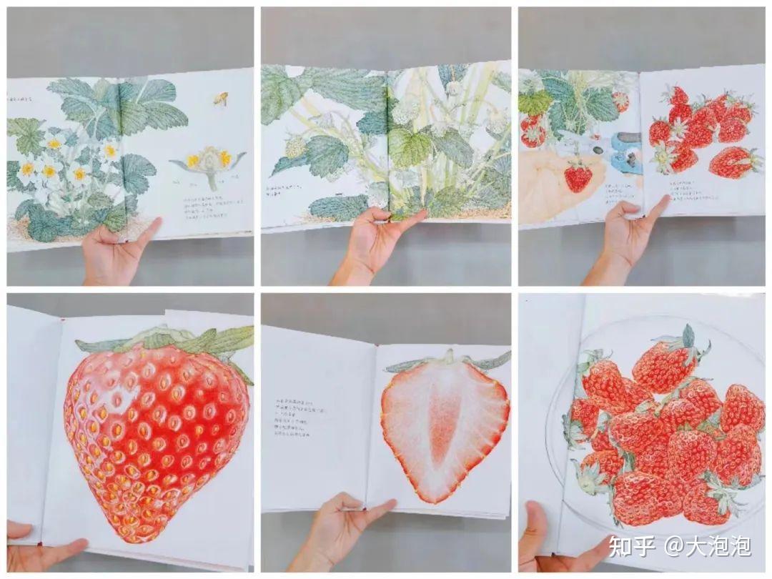 幼儿园游戏专题总结_幼儿园家长进课堂 绘本教学活动设计 家长课堂互动技巧