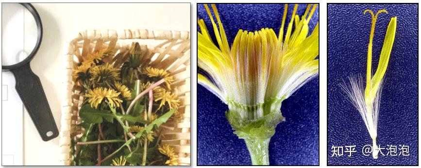 幼儿园游戏专题总结_幼儿园家长进课堂 绘本教学活动设计 家长课堂互动技巧