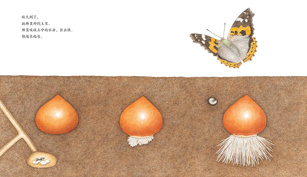 幼儿园游戏专题总结_幼儿园家长进课堂 绘本教学活动设计 家长课堂互动技巧