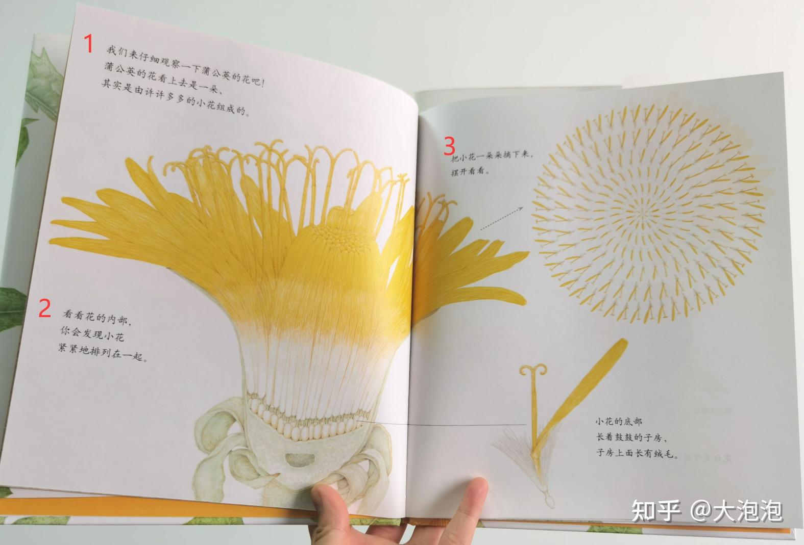 幼儿园家长进课堂 绘本教学活动设计 家长课堂互动技巧_幼儿园游戏专题总结